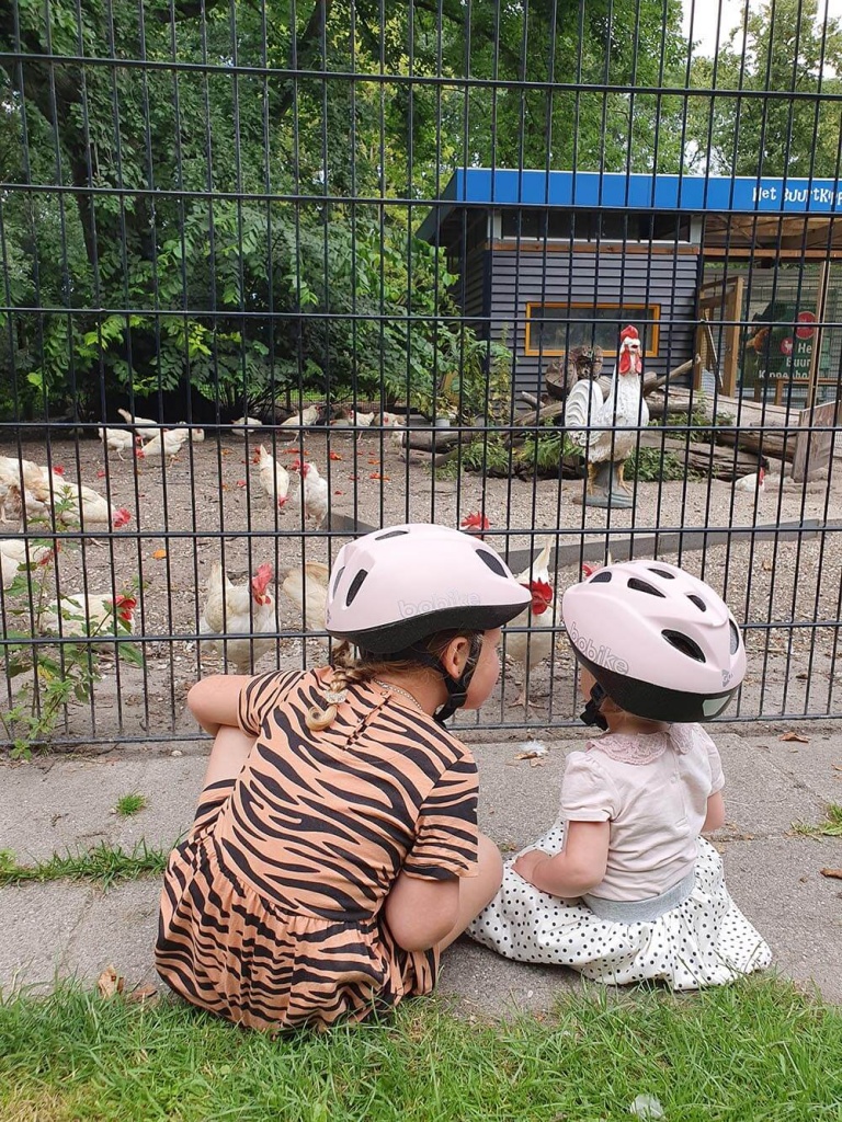 Mamablog Veilig fietsen met kinderen. Voorkomen dat ik val met de fiets kan ik niet, voorkomen dat mijn dochters er ernstige blijvende schade aan overhouden wel. Lees hier mijn overwegingen!
